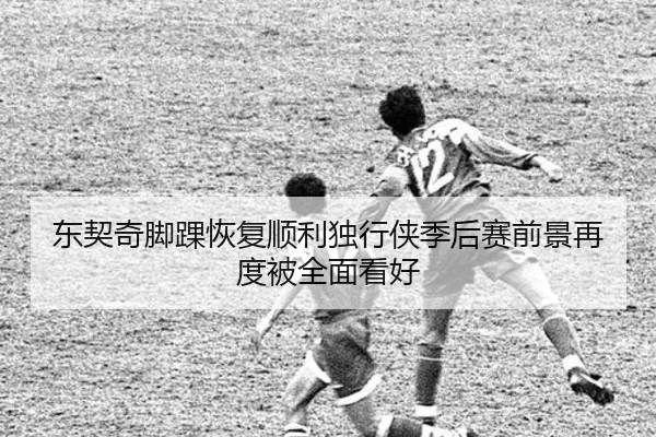 东契奇脚踝恢复顺利独行侠季后赛前景再度被全面看好